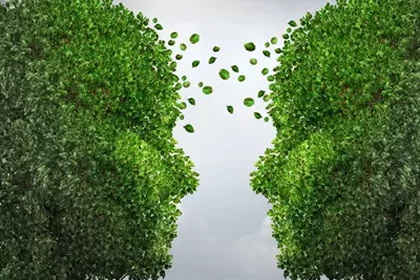 Psychotherapy Services​